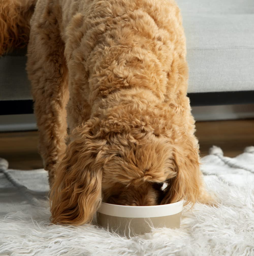 Waggo Dipper Hundenapf aus Keramik, robust, langlebig, klein, malvfarben