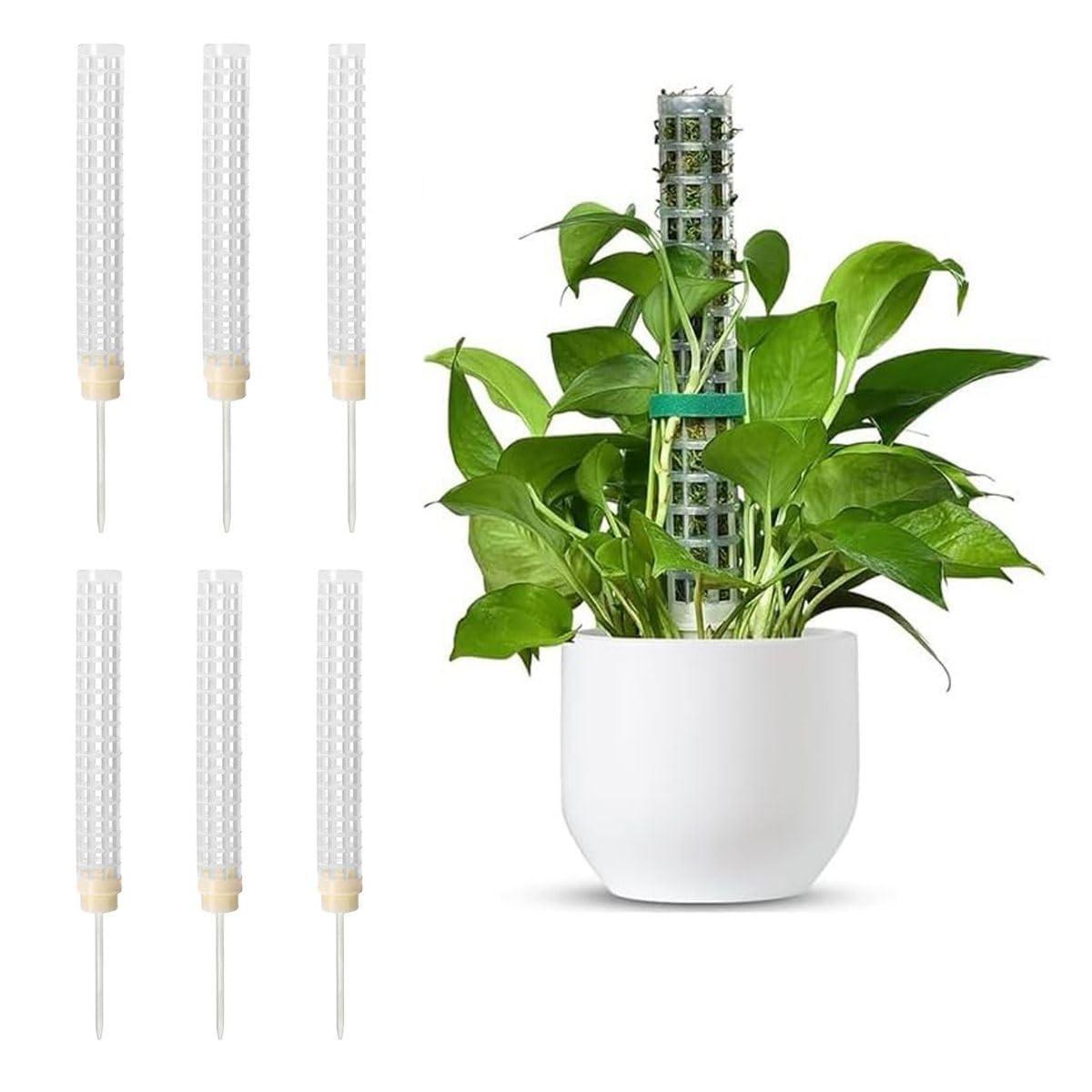Amazon | モスポール 支柱 連結可 観葉植物 用 6本セット 園芸 支柱