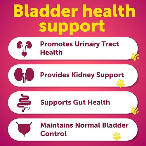 Miniatura 9 de Multivitamínico masticable con glucosamina 20 en 1 para perros  Vitaminas y suplementos para perros  Multivitamínico para adultos mayores y