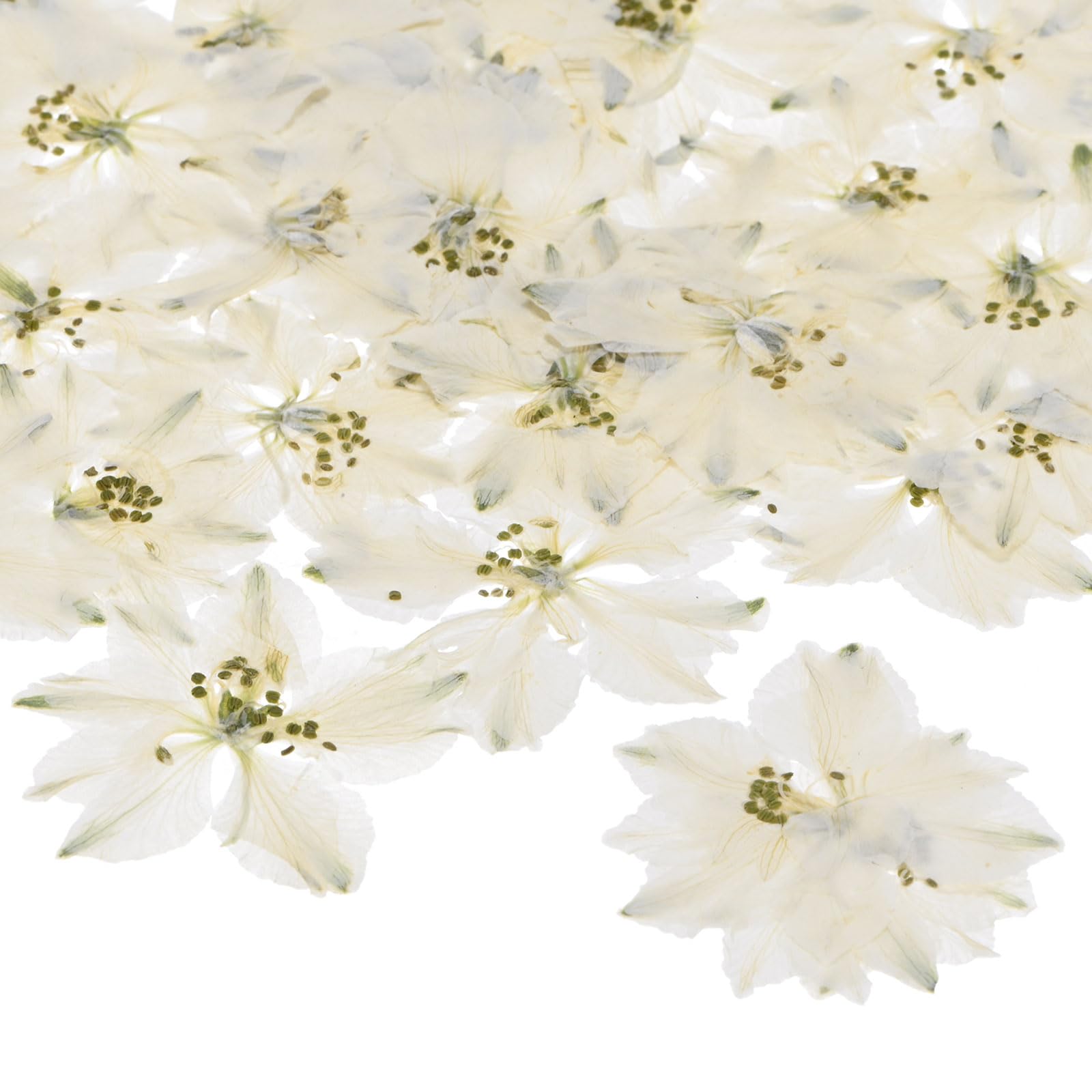 M METERXITY 48-Pack Dried Pressed Flowers for Resin, Real Natural Bulk Dry Floral for Crafts/DIY Jewelry/Soap Making/Scrapbooking/Candle/Epoxy Resin Supplies/Photo Frames [White]