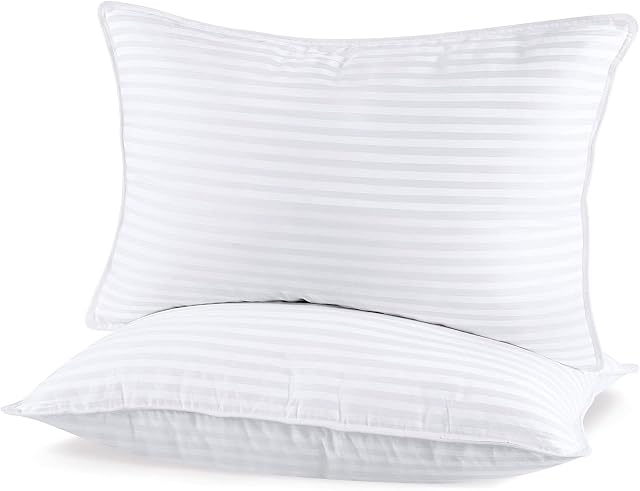 SHERWOOD Oreillers Taille Reine 2 Pack Hôtel Oreiller avec couverture en coton et couche de remplissage de fibre alternative pour dormir (Blanc, Reine 20x30 de pouce)