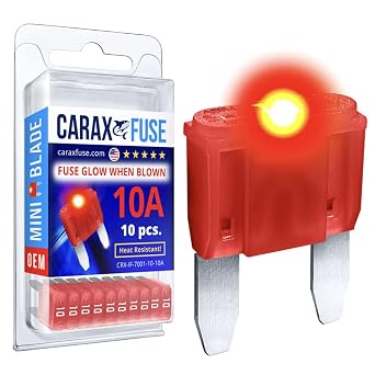 CARAX Glow Fuse Premium Fuse Mini Blade 10A Kit 10 pcs Glow When Blown LED Automotive Fuse Smart Auto Glow Fuse Easy Identification 10 pcs