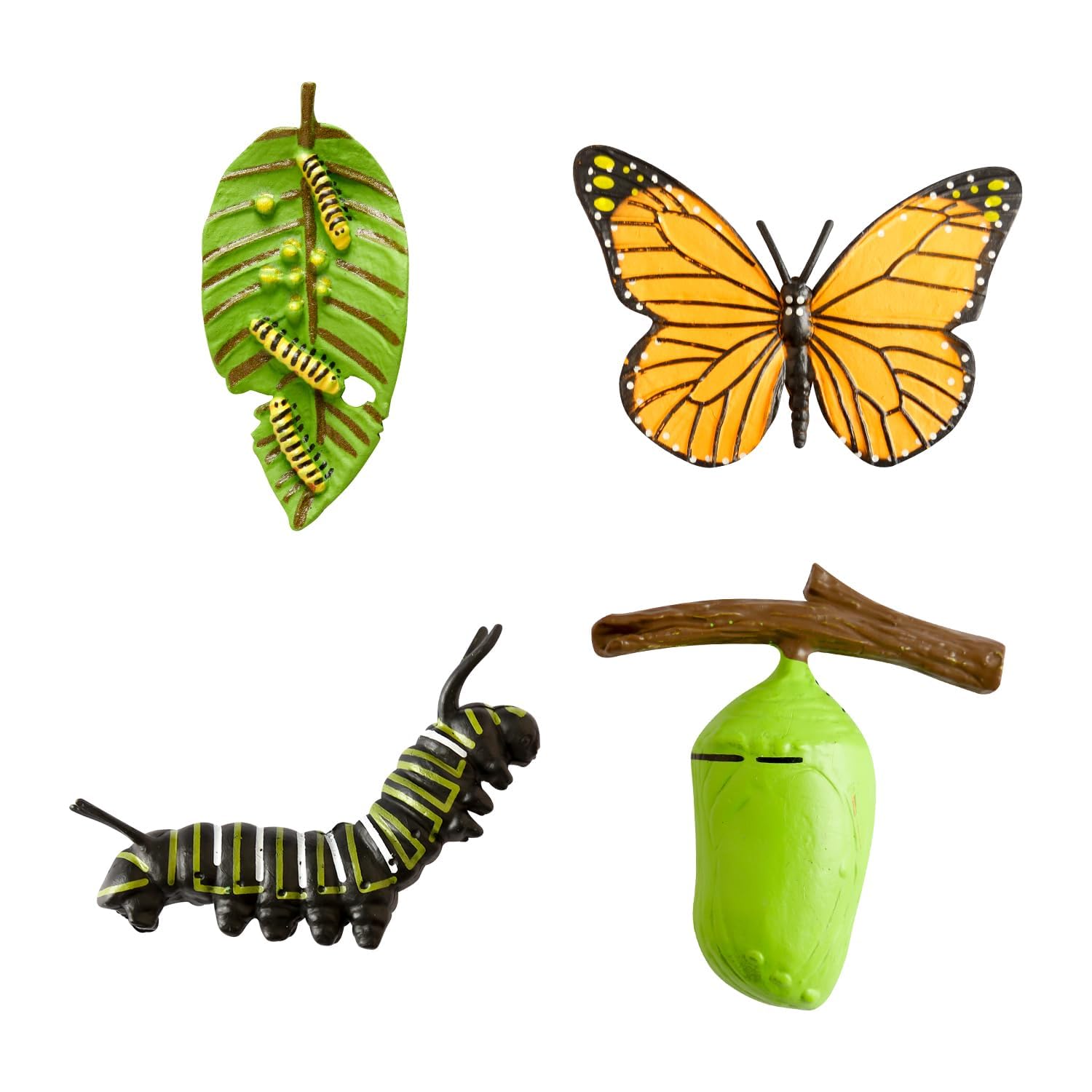 Hopzab 4PCS Insect Models Butterfly Life Cycle Model, Insect Growth Model, and Science Education Toys, Suitable for Classroom Teaching and Natural History Collections