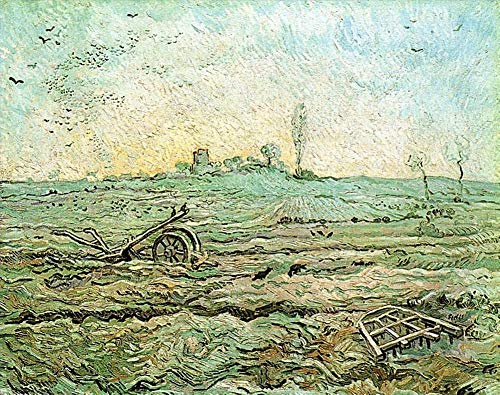 Peinture à l'huile Van Gogh fignolée à la main par des maîtres