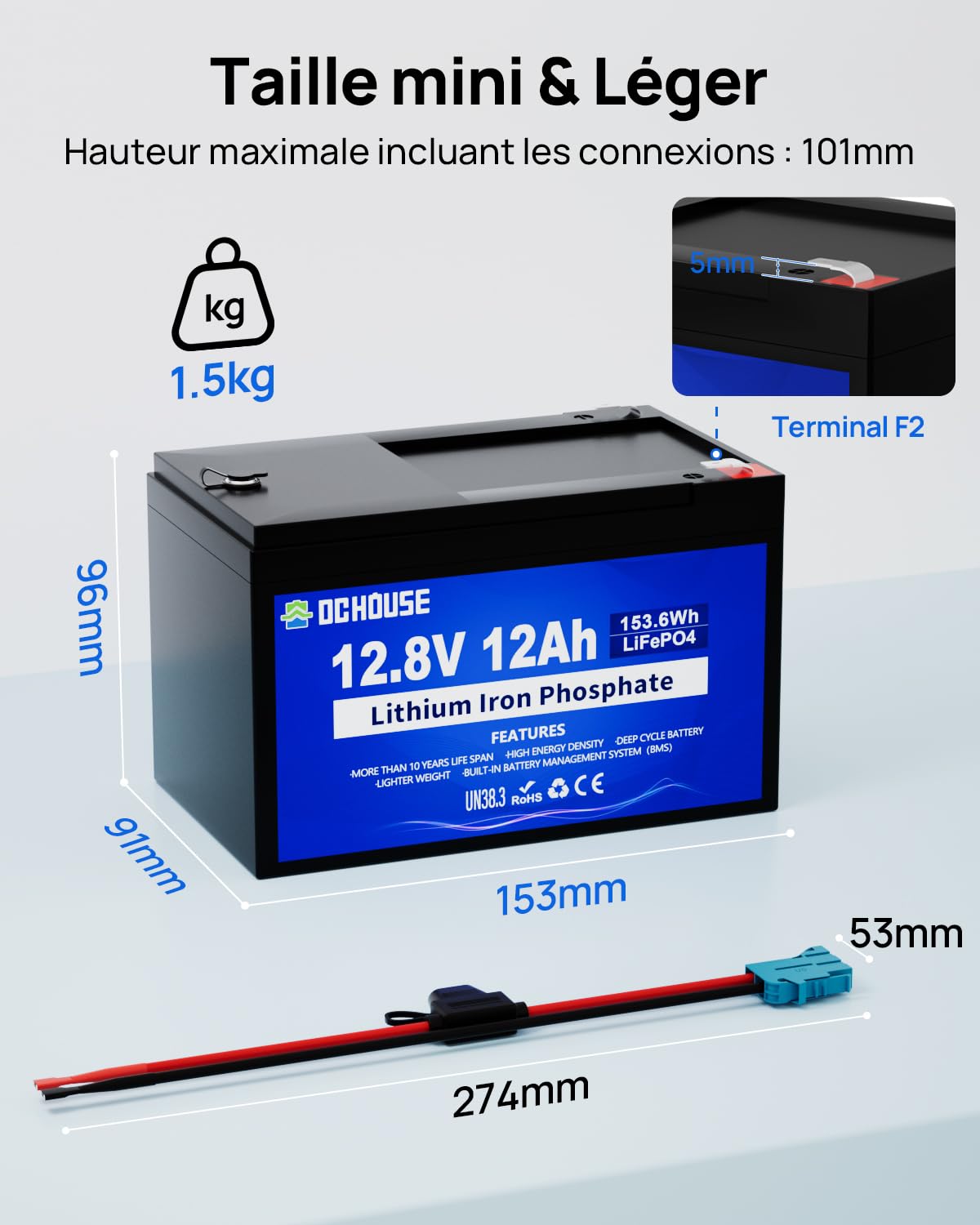 DCHOUSE Batterie au Lithium 12V 12Ah Lifepo4, Connecteur Câbles et Port CC | Batterie Lifepo4 Rechargeable de Plus de 4000 Cycles avec BMS 15A pour Bateau, Jouet à Enfourcher