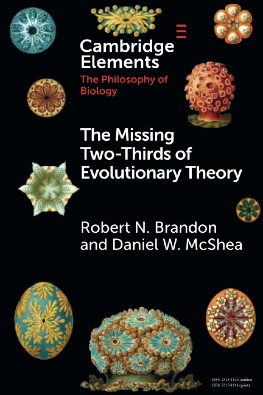 The Missing Two-Thirds of Evolutionary Theory (Elements in the Philosophy of Biology)