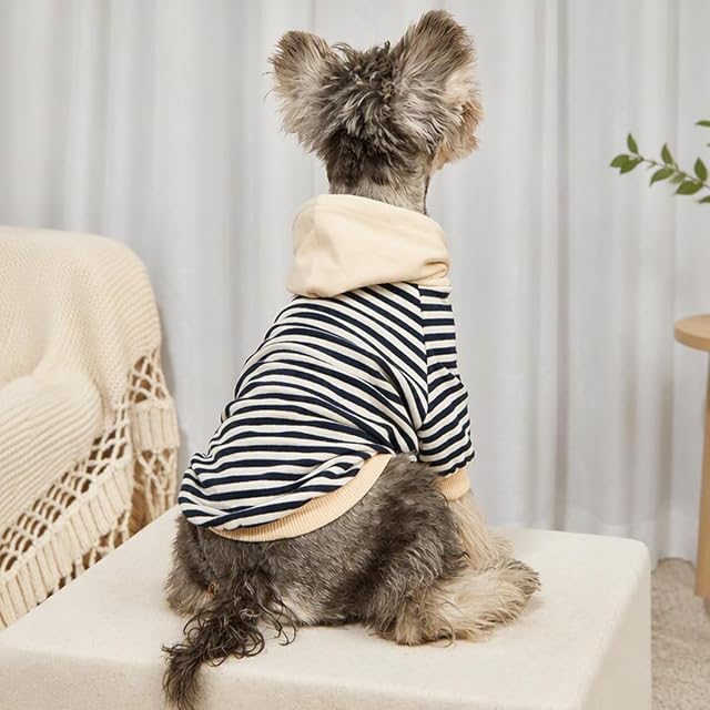Foto 3 de 7 de Wiz BBQT Ropa a Juego para Perros y dueños: Sudadera con Capucha para mamá y papá, se Vende por Separado