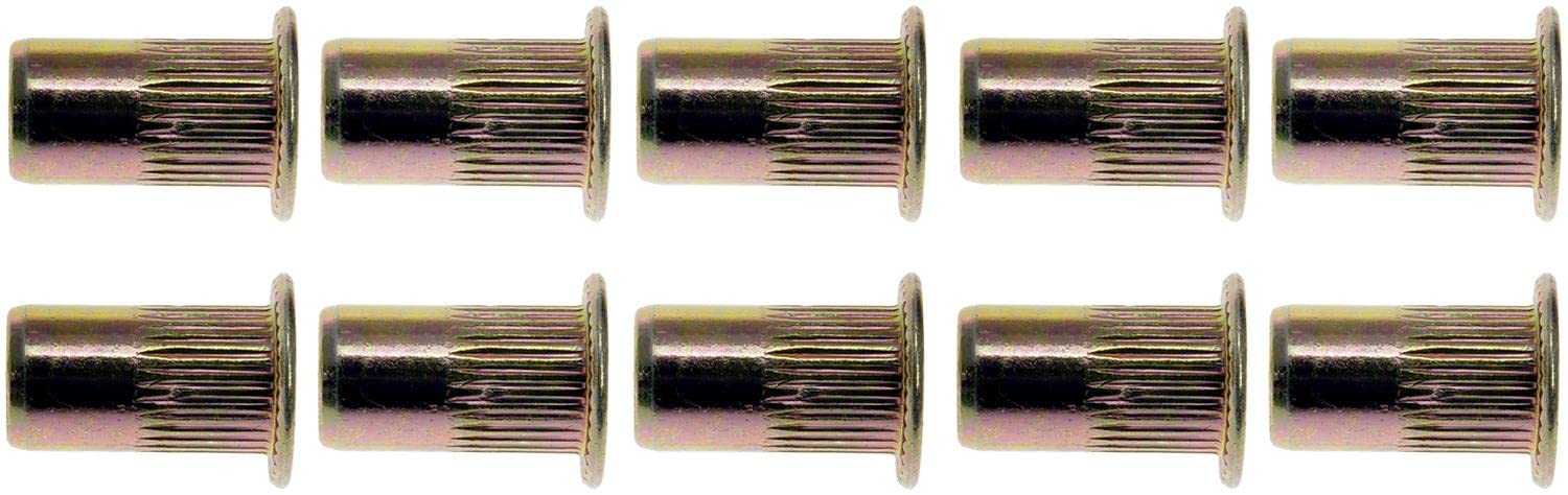 Dorman 963-251D: Rivet Nut 10-24