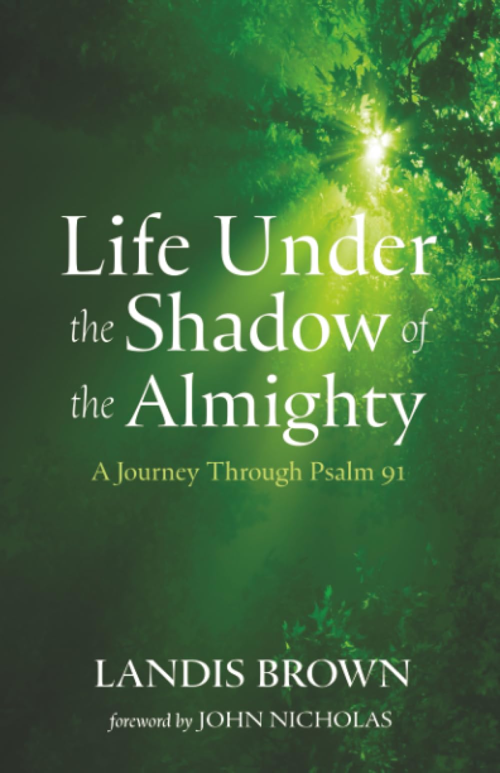 Life Under the Shadow of the Almighty: A Journey Through Psalm 91