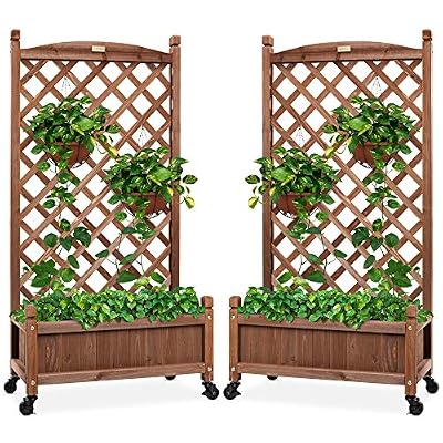 Best Choice Products Set of 2 48in Wood Planter Box & Diamond Lattice Trellis, Mobile Outdoor Raised Garden Bed for Climbing Plants w/Drainage Holes, Optional Wheels - Walnut