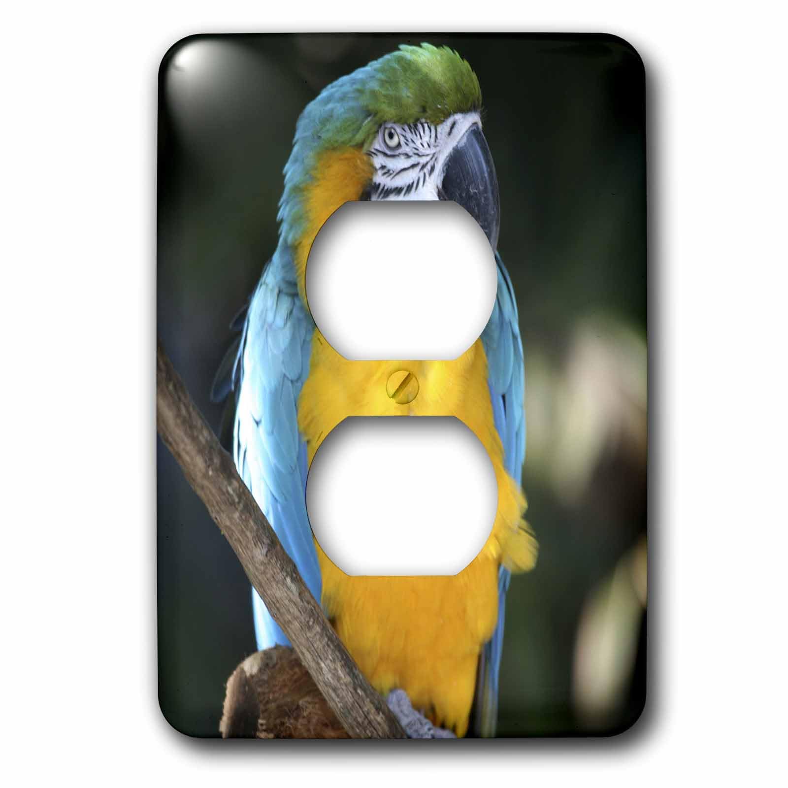 Bouchon de prise oiseau Aras pour masquer les connexions électriques inesthétiques du bureau