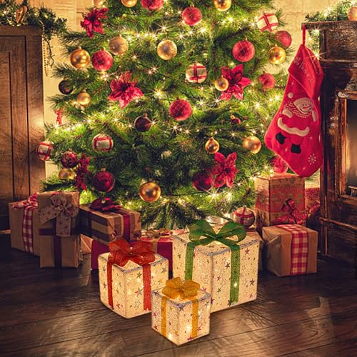 Boîtes éclairées de Noël 3pcs intérieures et extérieures avec télécommande - 4