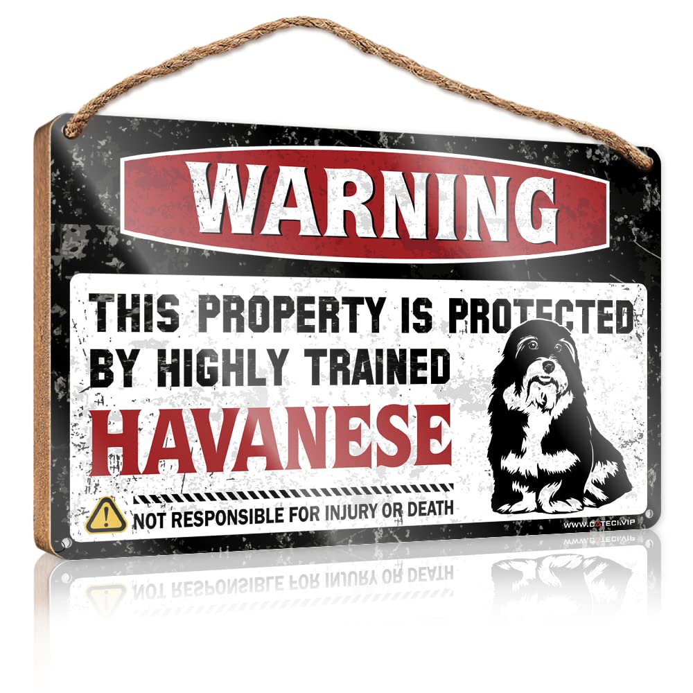 Dtha Boys One Color Front Door Sign Plaque Warning This Property Is Protected By A Highly Trained Havanese Wooden Sign Spring Signs For Front Porch Posters For Room(23X35cm)
