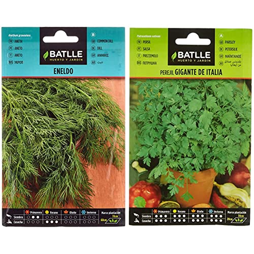 Semillas Batlle - Eneldo - Anethum graveolens, Color Verde & Perejil GIGANTE DE ITALIA
