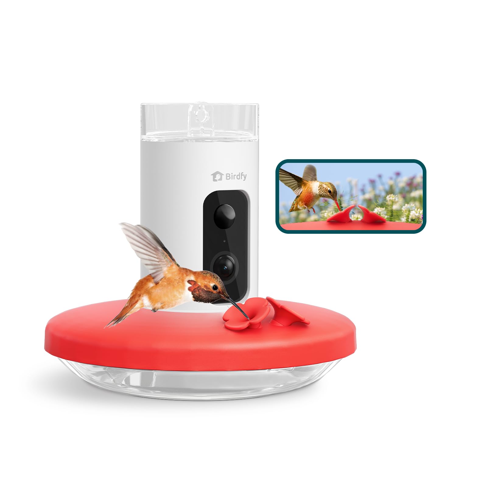 Photo 1 of Birdfy Hummingbird Feeder with Camera, Auto Record Bird Video, Instant Notification, Live View, Smart Hummingbird Feeders for Outdoors Hanging, Ant Bee Proof, 14oz, Easy to Clean, Gift for Bird Lovers