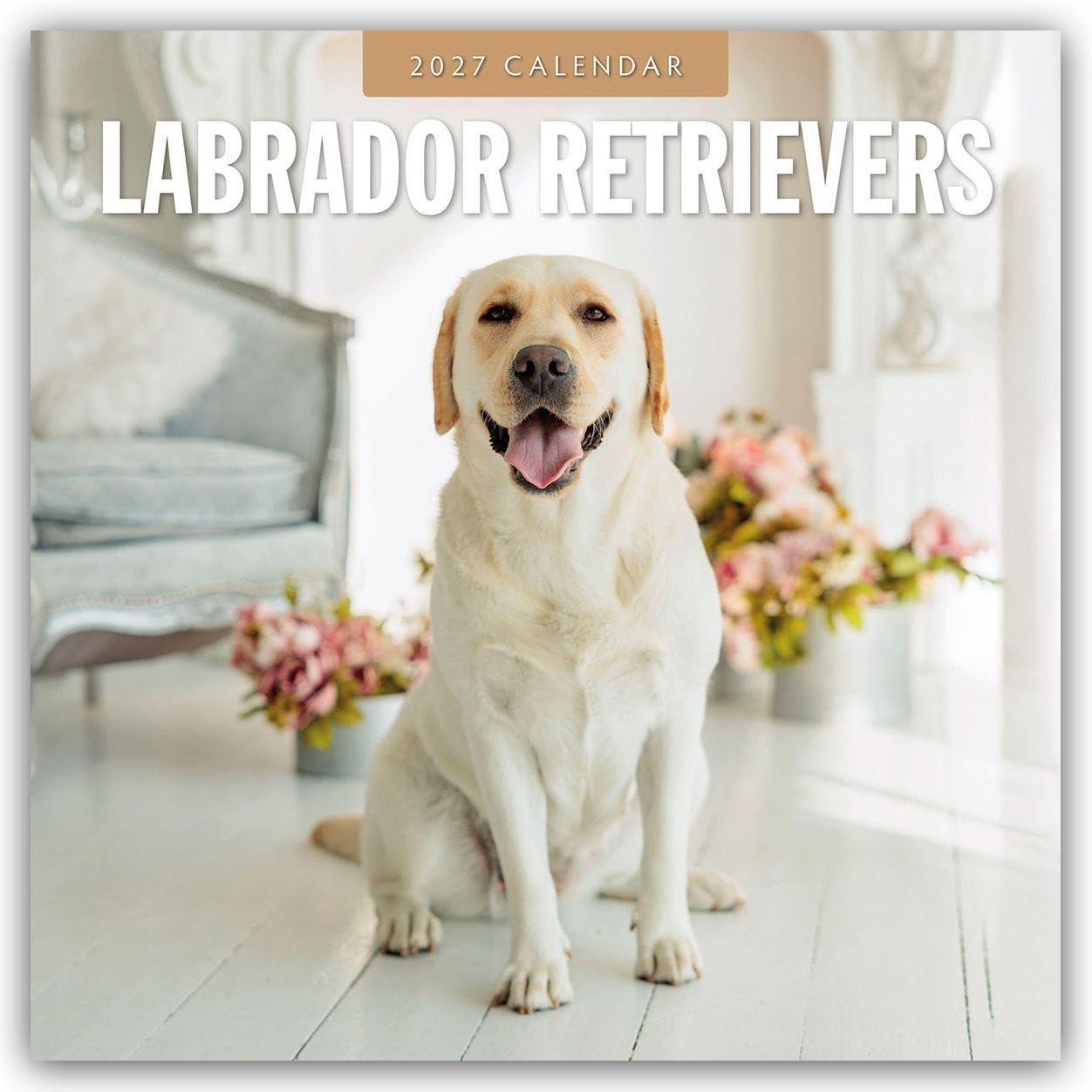 Labrador Retrievers 2027 Square Wall Calendar: Original Red Robin Publishing Ltd-Kalender [Mehrsprachig] [Kalender]
