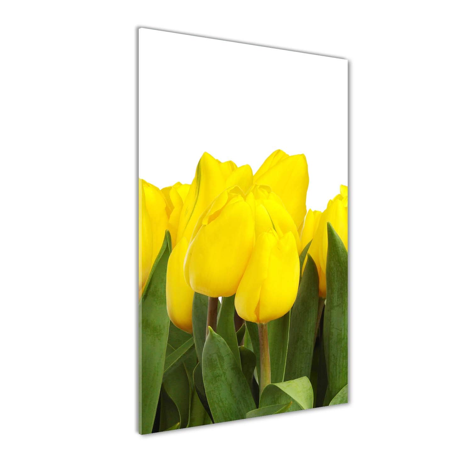 Impression sur verre tulipes jaunes lavable pour murs de cuisine