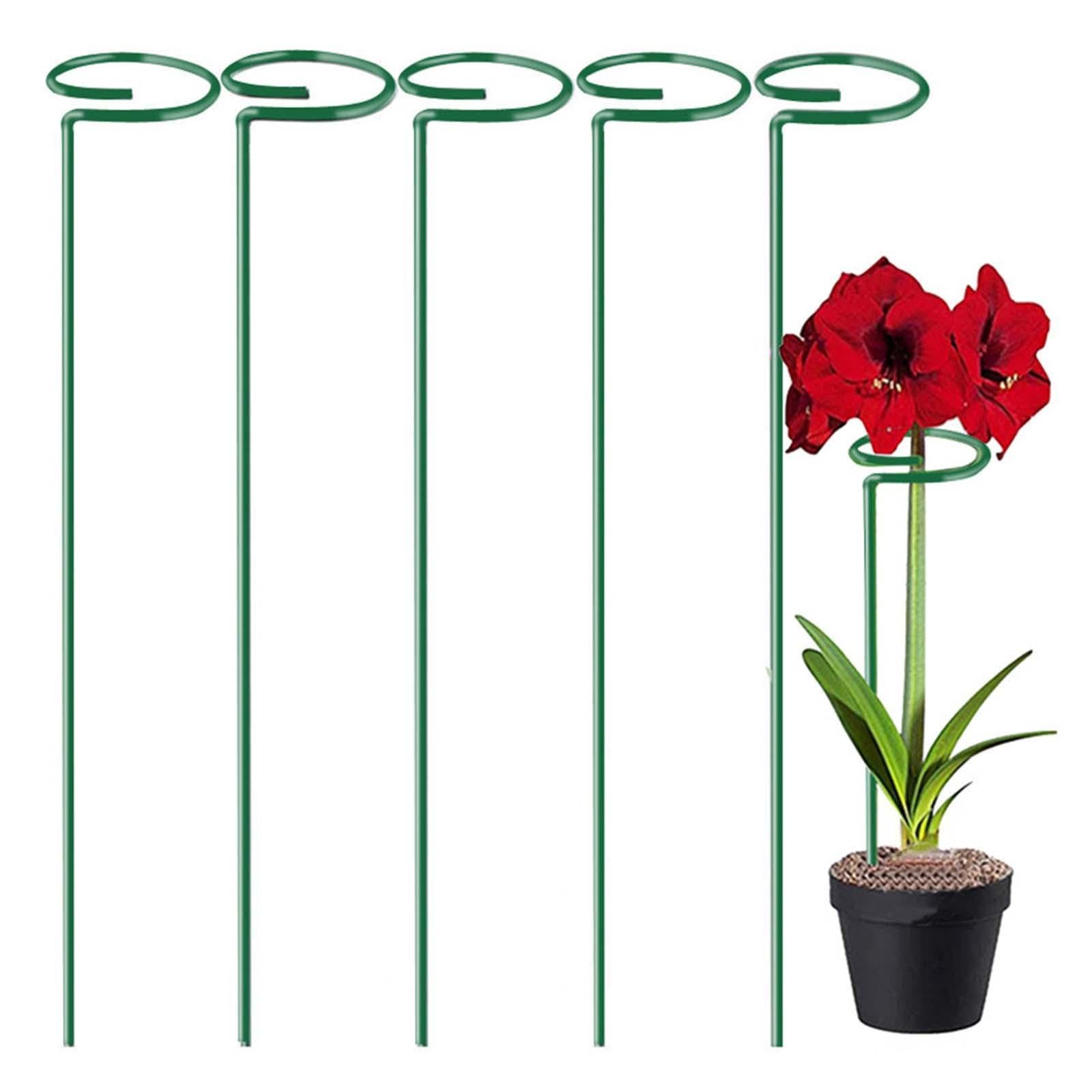 12 Pièces Tuteurs Plantes Supports Tiges Anneaux Fer Renforcé Installation Simple pour Pots Fleurs Tomates Marigold Utilisation Intérieur Extérieur, Hauteur 55cm