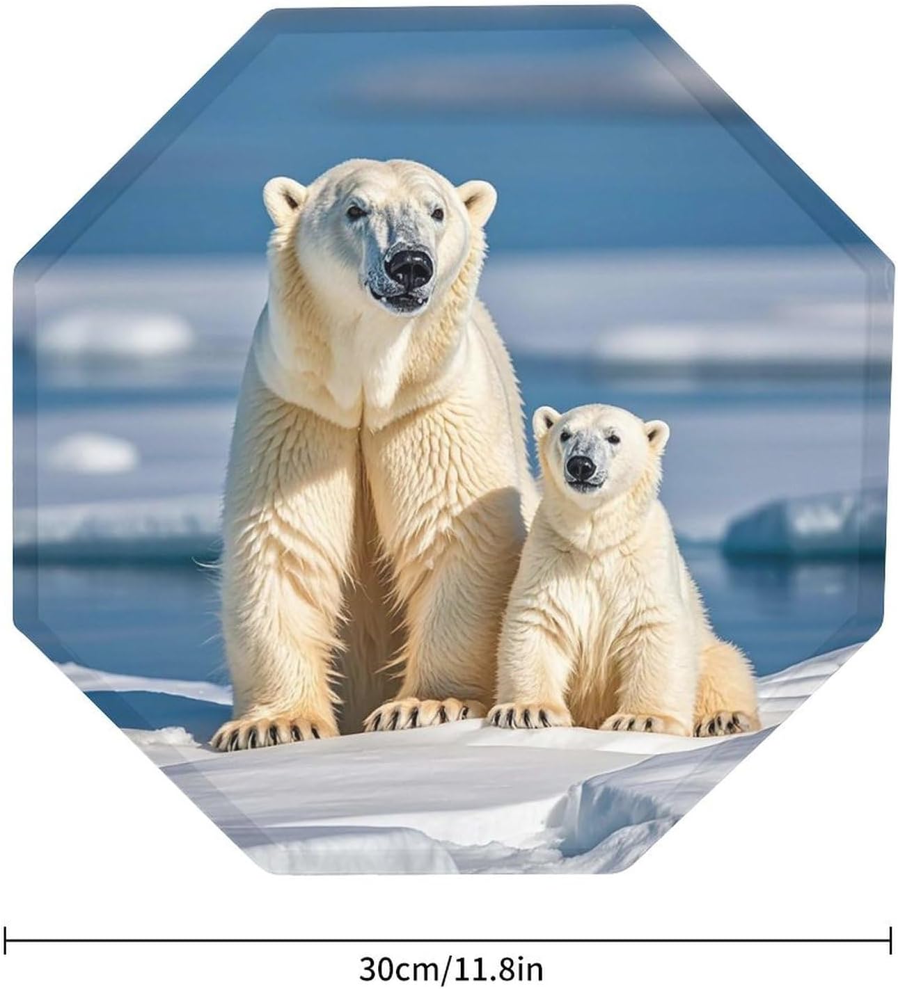Ctagon Metal Sign for Home, Modern Display Plate for Kitchen, 2 Polar Bears Plates Accent Hanging Wall Decorations 3PCS for Living Room, Bedroom, Hallway, Hotel