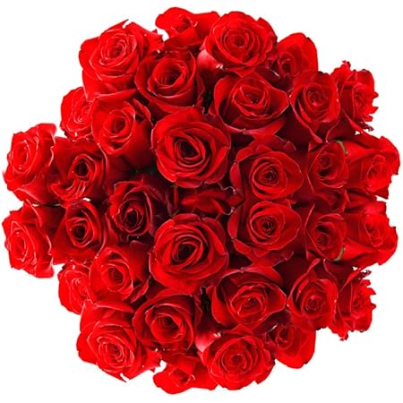 Amazon Com Servicio De Entrega De Flores Bloomsybox 24 Rosas Rojas De Tallo Largo No Florero Comida Gourmet Y Abarrotes