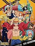 One Piece Anime Throw Blanket - Luffy, Zoro, Sanji, Nami and Crews New World