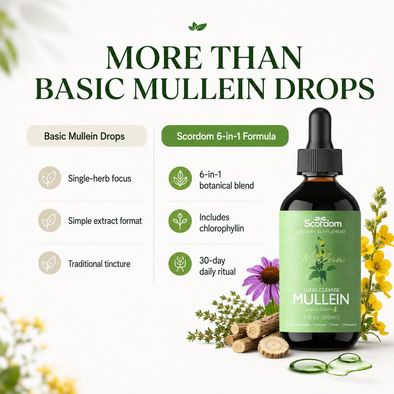 Mullein Drops for Lungs Cleanse & Detox, 6 in 1 - Mullein Leaf Tincture with Licorice, Astragalus, Echinacea, Thyme, Chlorophyll, Supports Respiratory Health, 2 fl oz | 60 ml - 1 Month Supply — Amazon image 3