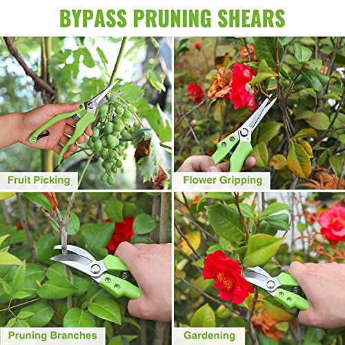 WORKPRO Garden Clippers, 2 Pcs Flower Scissors Include 8" Bypass Pruner and 8.5'' Straight Blade Shear, Professional Pruning Shears Kit for Cutting Flowers, Trimming Plants, Fruits Picking image 8