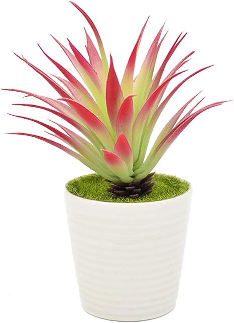 Amazon ドリーマー 人工観葉植物 アロエ 鉢植え 陶器 屋内装飾 ミニ かわいい まあるい 光触媒 赤 人工観葉植物 オンライン通販