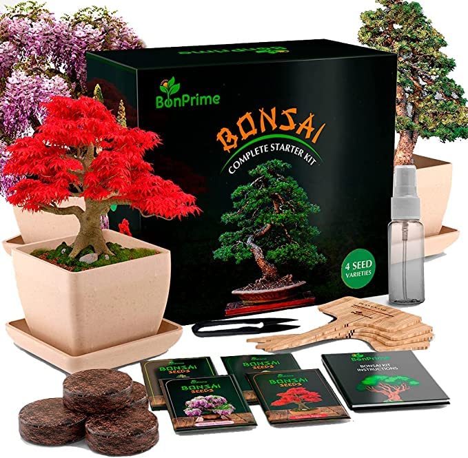 BonPrime Kit Cultivo Bonsai - Kit para Principiantes - Con 4 Tipos de Arboles, 4 Macetas de Bambú, 4 Gránulos de Turba, 4 Marcadores de Plantas, Pinzas y Spray de Agua, Guías Impresas y en Línea