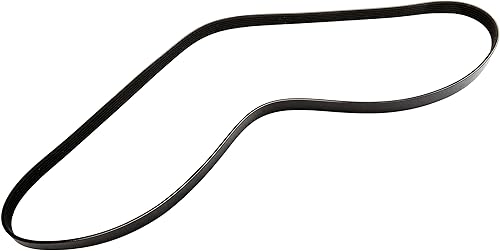 ACDelco GM Original Equipment 55578115 - Correa serpentina acanalada en V, color negro