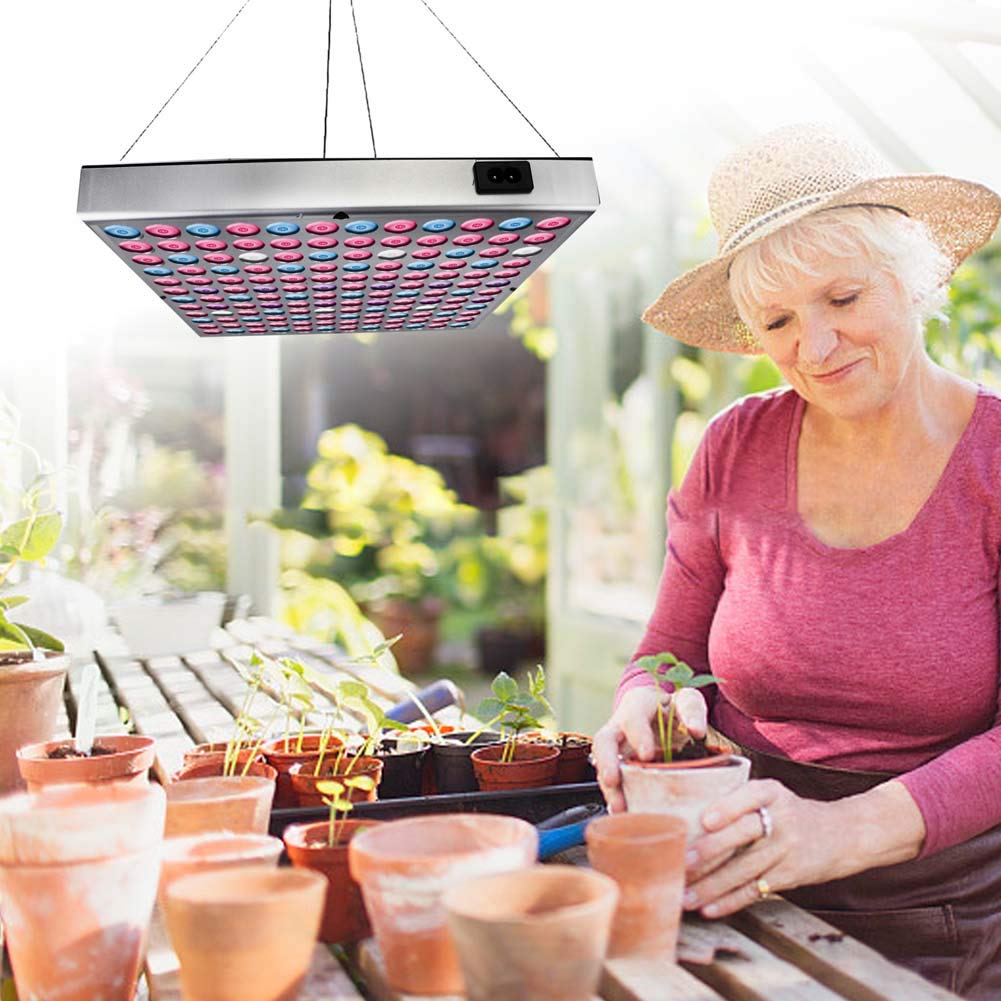 45W LED élèvent la lumière, lampe à double spectre de croissance des plantes à spectre complet, avec des lumières de culture bleu-rouge pour les plantes d'intérieur lampes de croissance de fleurs