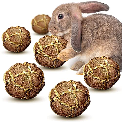 Image of SunGrow Assorted Rabbit & Cat Chew Balls, Teething Activity Toy for Pocket Pets, Improves Dental Health, Environment Friendly, Stress Reliever (Coco Fiber, 6 Pcs)