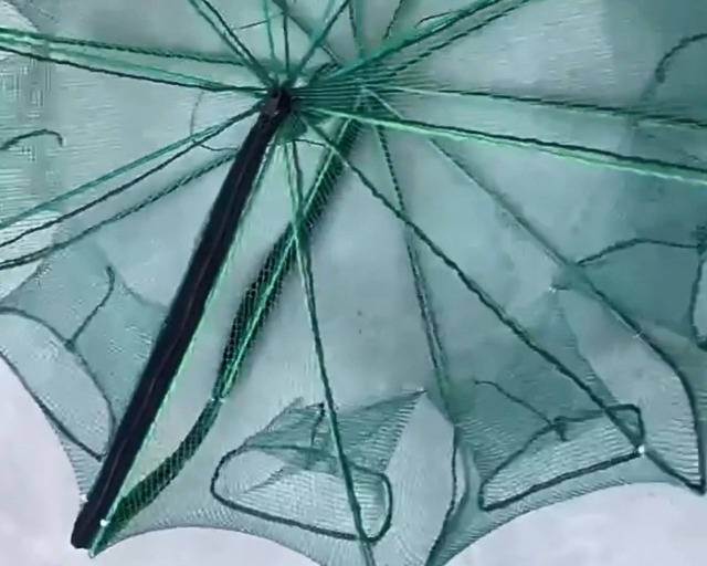 Trappola Per Pesci E Granchi - Con Fori 3/8, Design A Imbuto, Per Pesca In Acqua Dolce E Salata - Foto 7