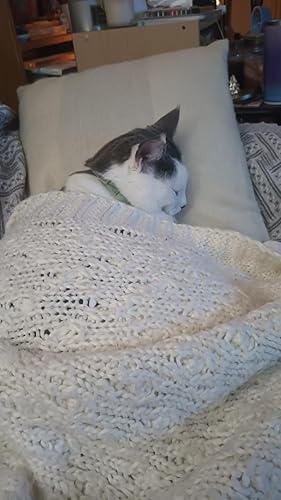 Pet Spray Brush for Cats & Dogs — alternate color or size variant on Amazon