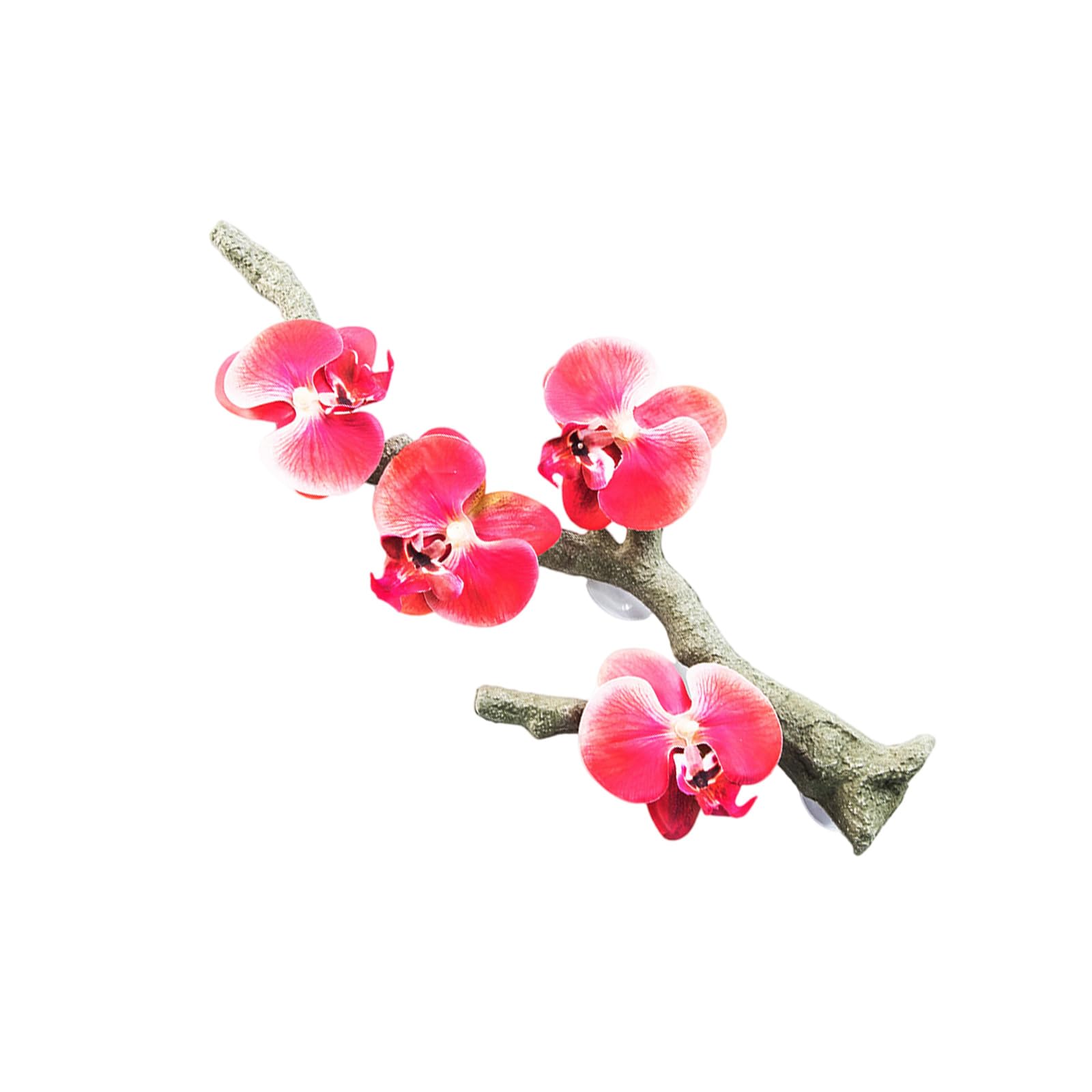 NEWFT Reptiles Corner Branch Vine for Lizards Terrariums Plant Decoration Life Like Climbing Vine Habitats Decors for Lizards