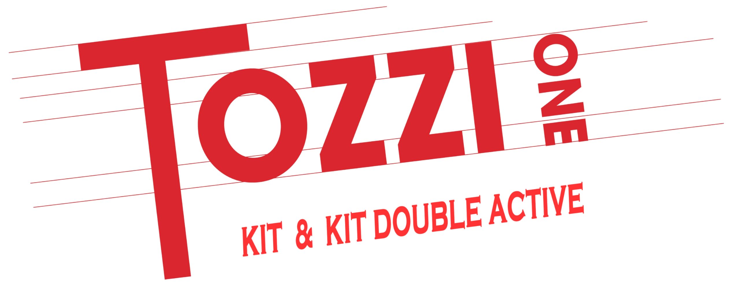 Amazon.co.jp: マークオーディオ ソタ(Markaudio SOTA) Tozzi One kit 