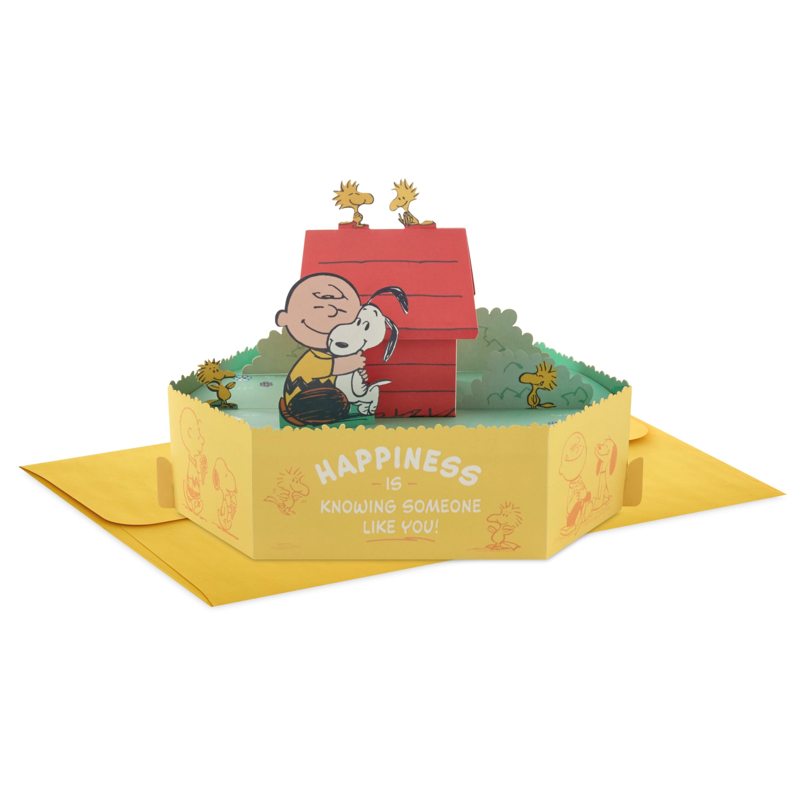 Hallmark PEANUTS SNOOPY Paper Wonder Collection 3D Pop-Up Birthday Card