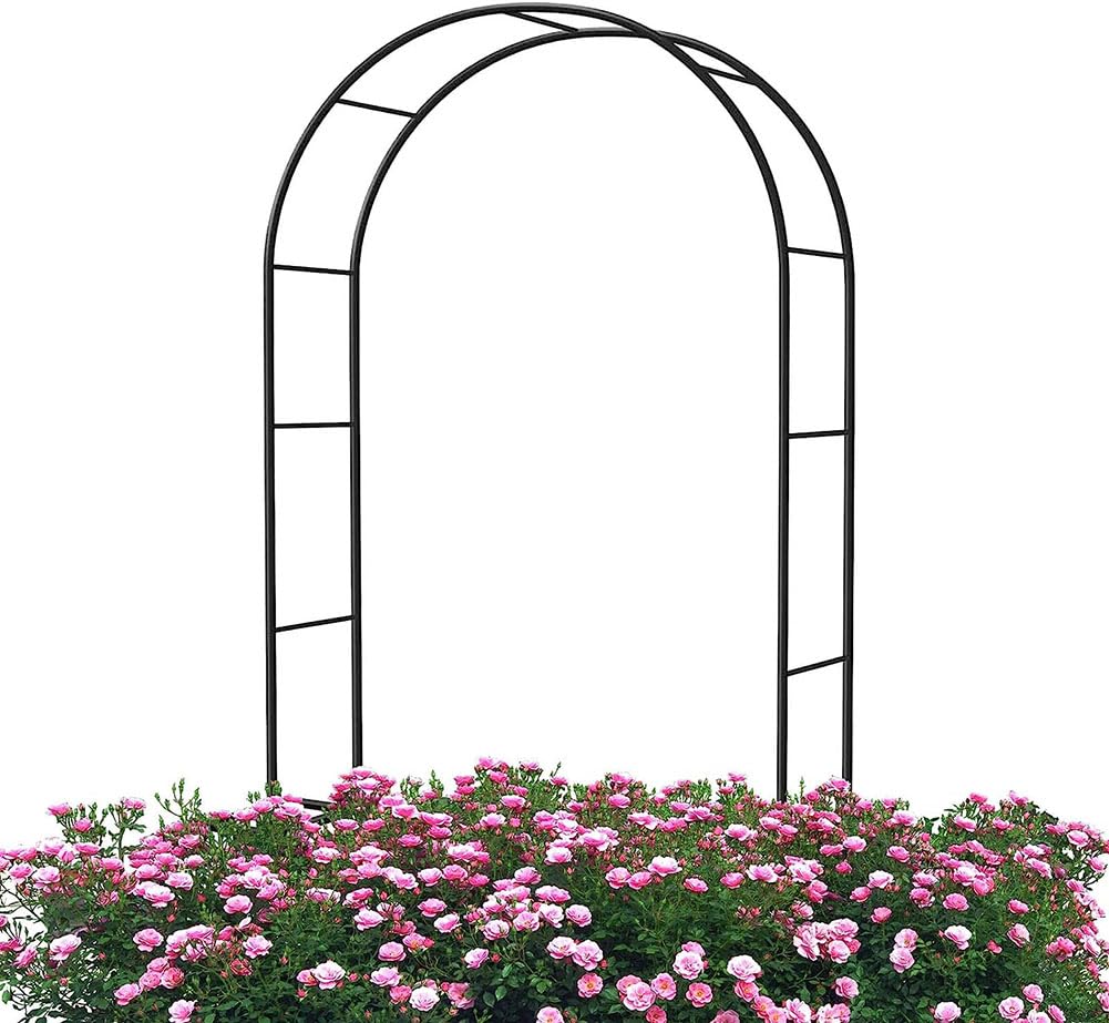 Arche de jardin pour mariage extérieur et décoration de fêtes avec treillis robuste