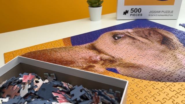 Custom Photo Jigsaw Puzzle - Personalized 300/500/1000 Piece Puzzle From Your Picture