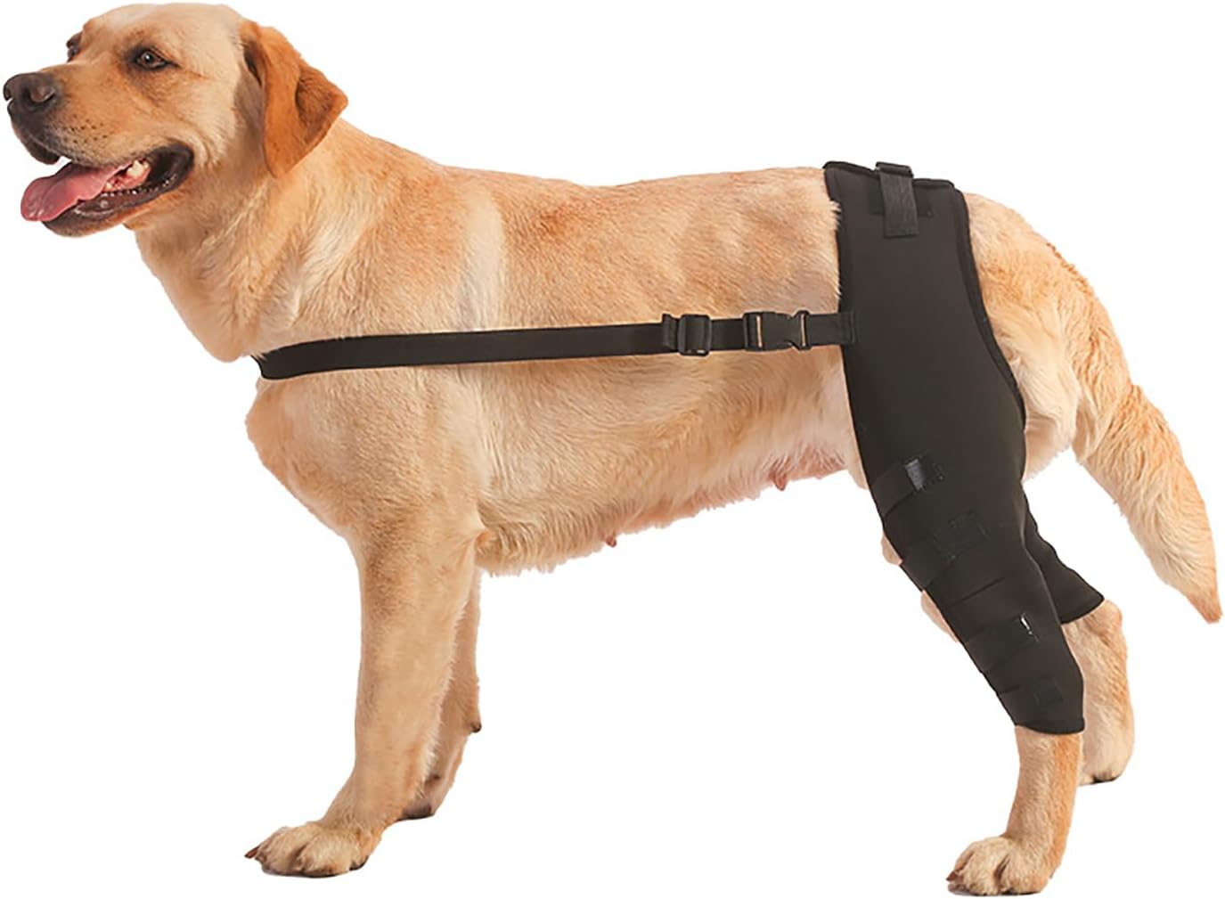Flyouthe Dog Knee Brace ACL Brace for Dogs Rear Leg Tear CCL Brace Dog Leg Braces