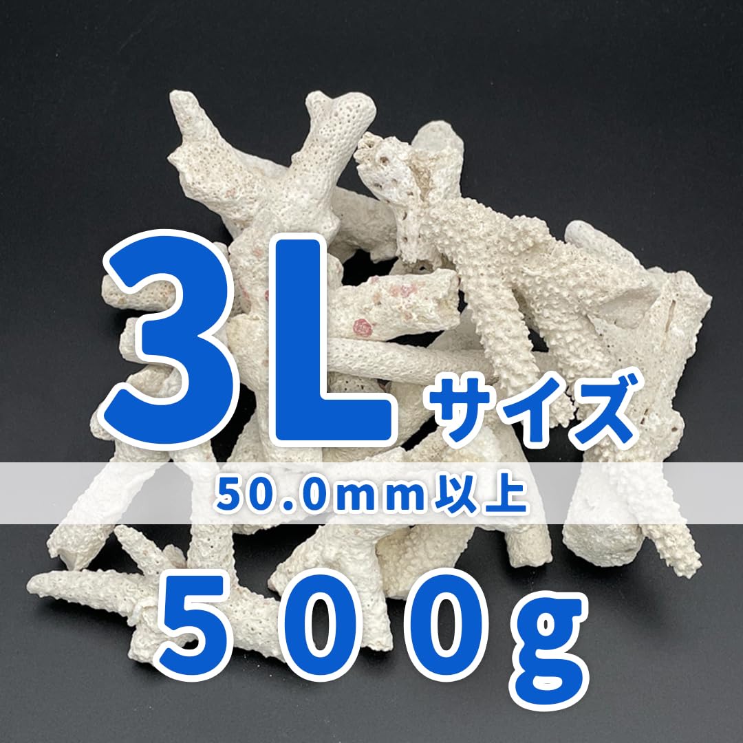 Amazon | パラオ産 サンゴ砂 パラワンサンド 【3Lサイズ 500g