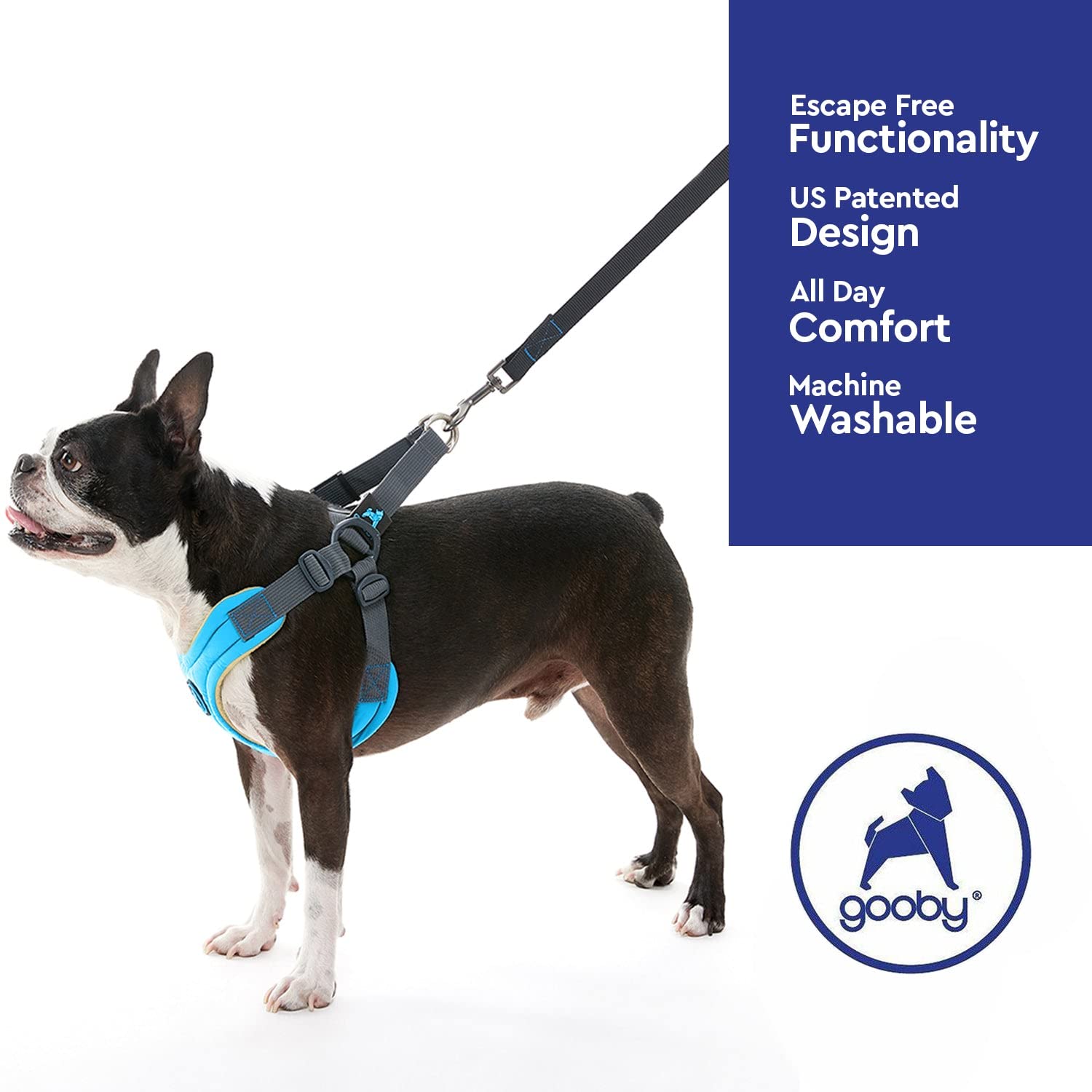 Gooby Escape Free Hundegeschirr aus Memory-Schaum, kein Ziehen, 4-Punkt-Verstellung, für kleine bis mittelgroße Hunde, Blau, Größe S