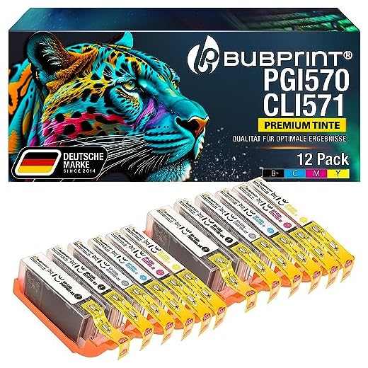12 Bubprint skrivarpatroner kompatibla för Canon PGI-570 CLI-571 XL för Pixma MG7700 MG7750 MG7751 MG7752 MG7753 TS8000 TS8020 TS8040 TS8050 TS8051 TS8052 TS8052 TS8052 TS8052 TS8052 TS8052 TS8052 TS8052 TS8052 TS8052 TS83 TS9000 TS9050 TS9055 multipack