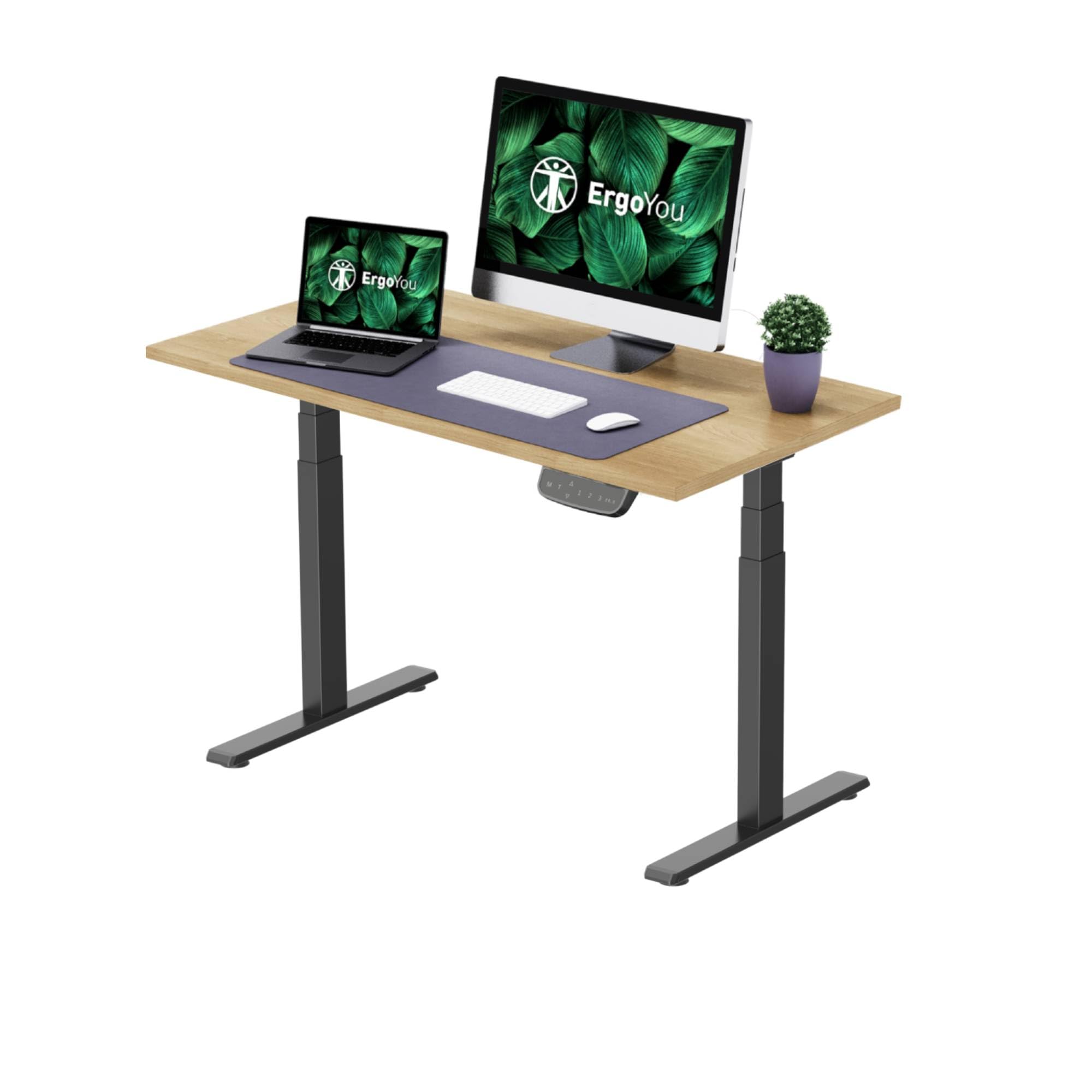 ErgoYou - Electric Height Adjustable Standing Table - Dual Motor 3 Stage -125 kg Static Weight Capacity - E1A Series - Ergonomic Sit Stand Computer Desk (Maple, 47 x 23.5 inches)