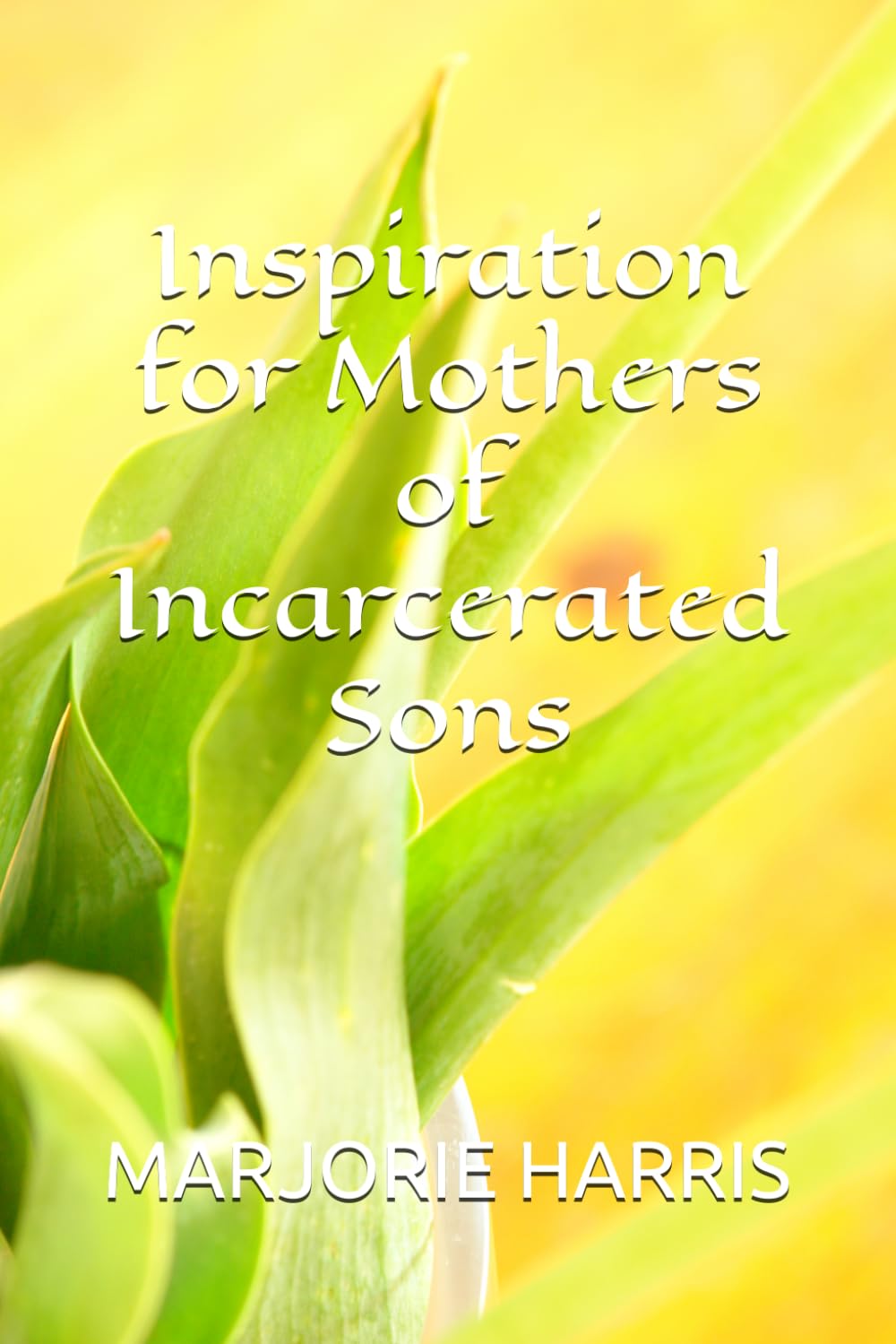 Inspiration for Mothers of Incarcerated Sons