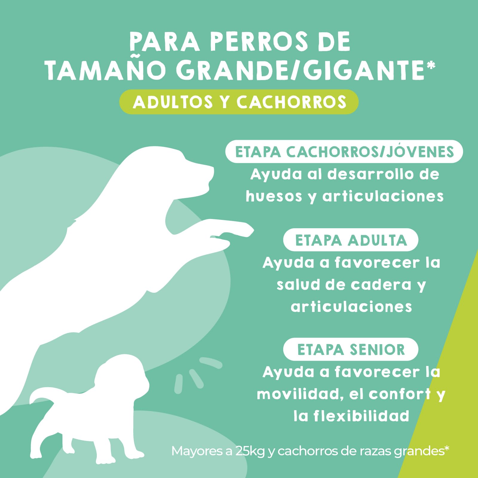 MAIKAI Condroprotector Perros Grandes y Gigantes – 120 Comprimidos – Glucosamina + Condroitina + MSM + Ácido Hialurónico – Articulaciones + Antiinflamatorio Natural
