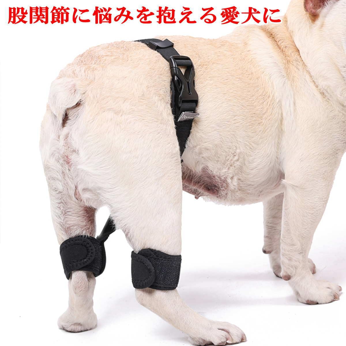 犬☆股関節サポーター Amazon | Nikkashop 犬 サポーター 股関節 大型犬 Lサイズ