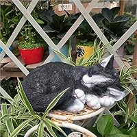 猫オブジェ置物】猫雑貨インテリア ガーデン置き物ガーデニング ねこグッズかわいい 61tqUcLX49L._SS200_.jpg