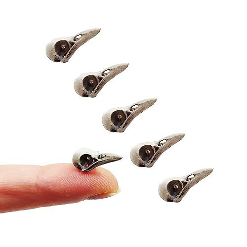 Miniatura 2 de Raven Skull Miniature Bird Cranium Replica for Dollhouse, Diorama, Jewelry Making (112 Scale, Bone (hand painted))