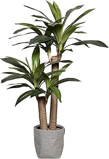 Vintage Home Artificial Faux Corn Plant 45 in High Fake Plant Real Touch for Indoor/Outdoor Home and Office Accent DÃ©cor with Stylish Plastic Planter,Green(VHX166)
